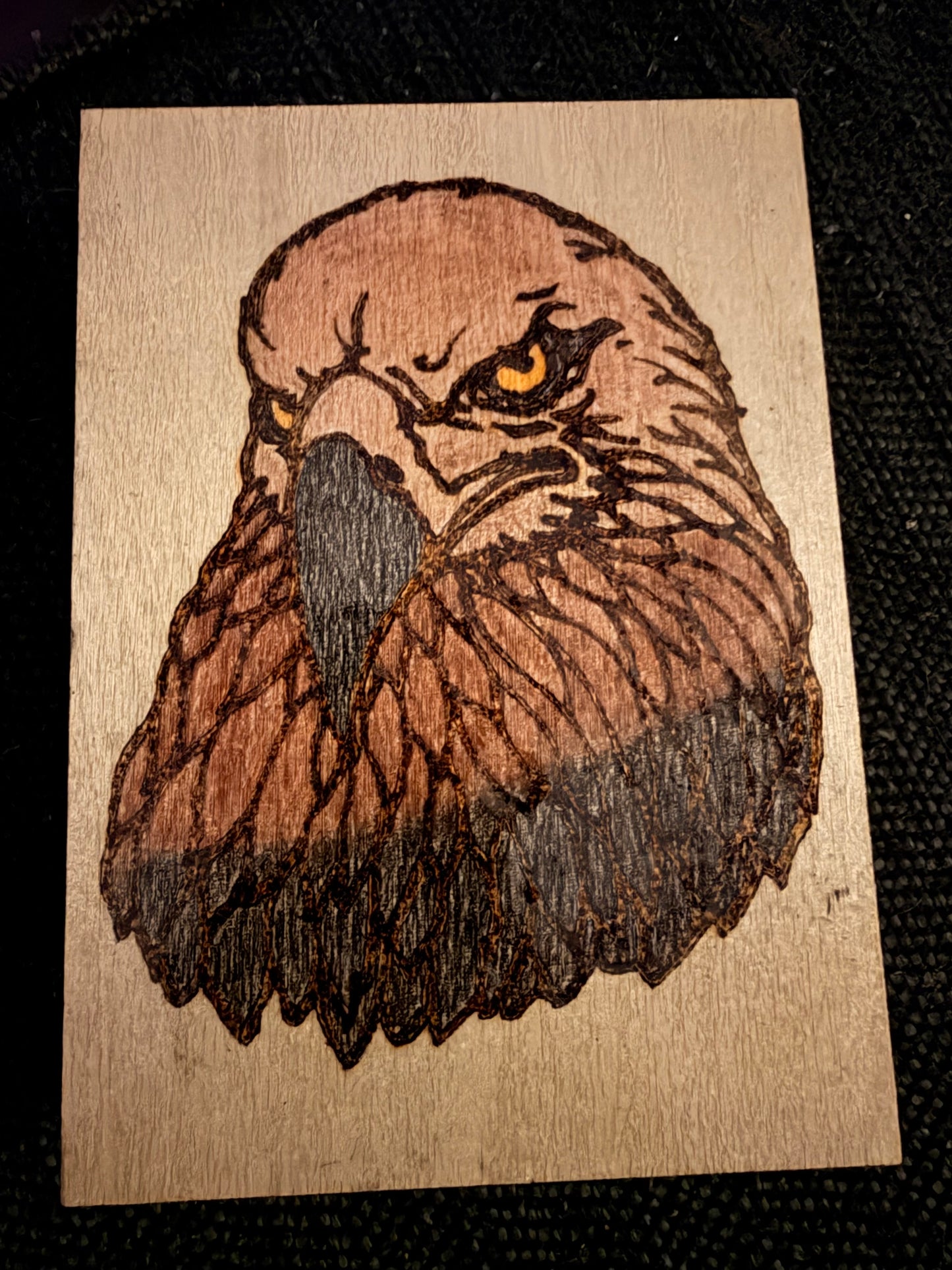 Bald Eagle Wood Burn Art